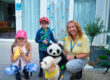 Creating a Fantastic New Garden for Helen & Douglas House Oxford. Accessible Living Company