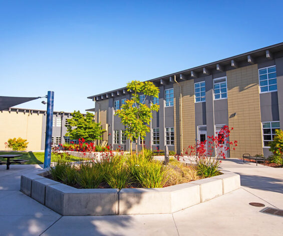 Inclusive Outdoor Spaces from The Accessible Living Company