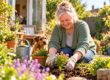 Accessible Social Areas for Charities & Community Organisations. The Accessible Living Company.